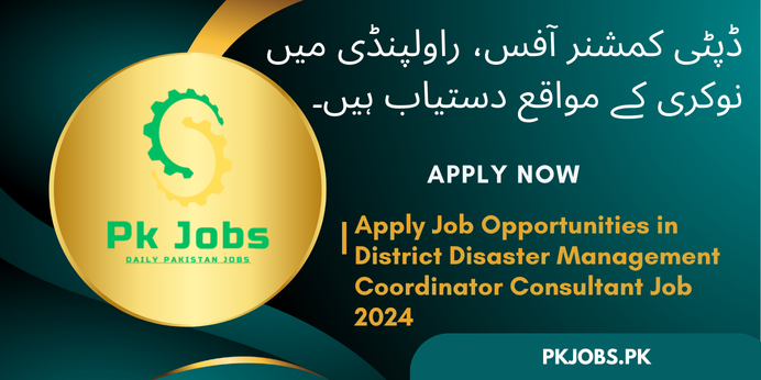 District Disaster Management Coordinator Consultant job