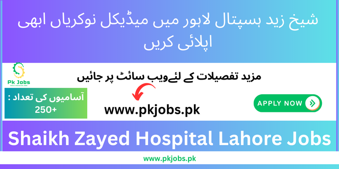 Shaikh Zayed Hospital Lahore Jobs 2024