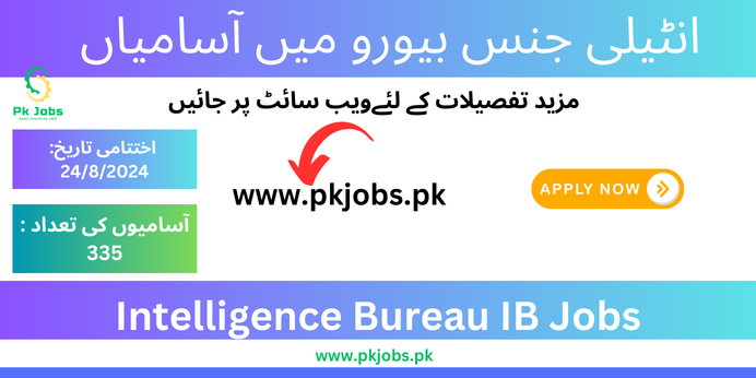 ib jobs